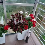 Apartmán Z Widokiem Na Morze Dziwnówek