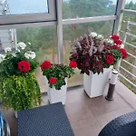 Z Widokiem Na Morze 公寓 *