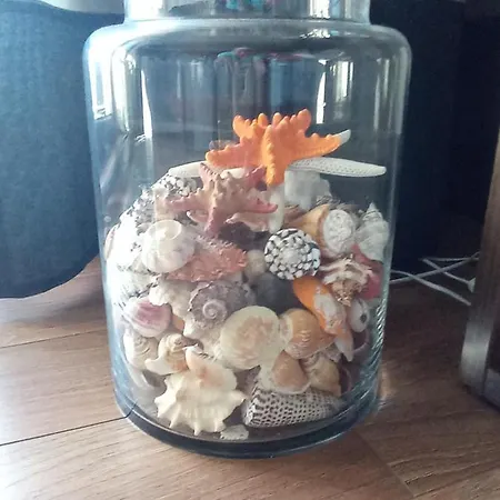 Lägenhet Z Widokiem Na Morze