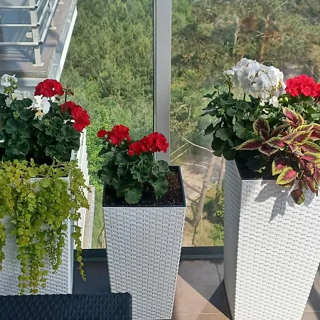 Z Widokiem Na Morze Διαμέρισμα *