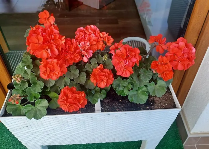 Z Widokiem Na Morze Apartamento Dziwnówek