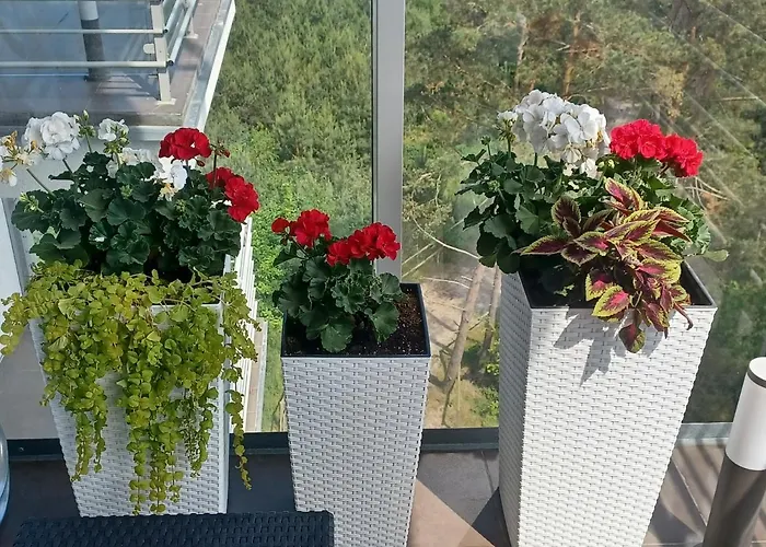 Z Widokiem Na Morze Apartamento *